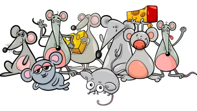 Informe de la CACE: los cordobeses son los más “ratones” de Argentina (priorizan siempre precio)