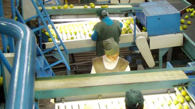 ¿Cuáles son las empresas de Tucumán que más trabajadores contratan?