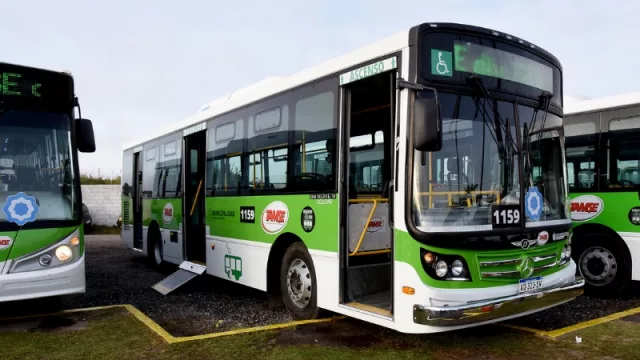 Flota de trolebuses: Mestre presentó tres nuevos colectivos