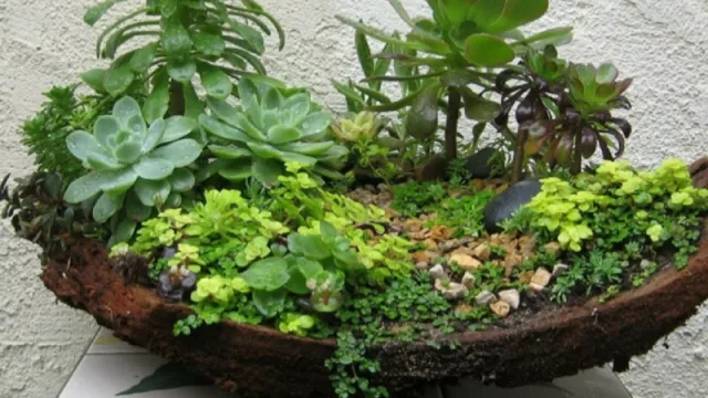 ¿Vas a asistir al Taller de Mini Jardines gratuito?