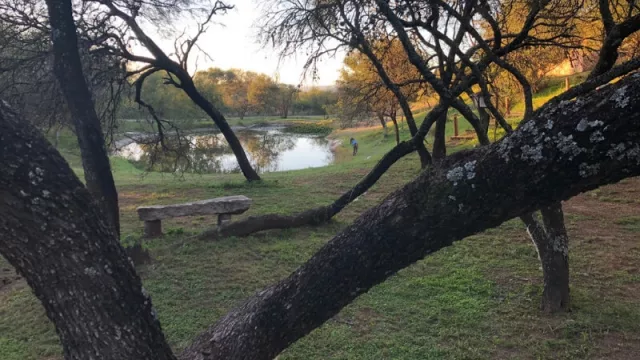 Las lagunas de contención, también parte del entorno biodinámico