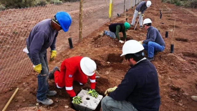 Halkis: compromiso con la Responsabilidad Social Empresarial en la industria petrolera