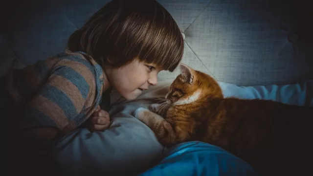 Explican qué implica tener mascotas