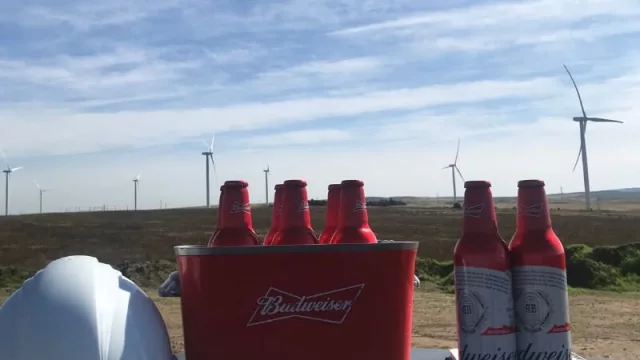 Quilmes le pone Budweiser al parque eólico de Achiras (hacia el 100% de energía renovable para el 2020)