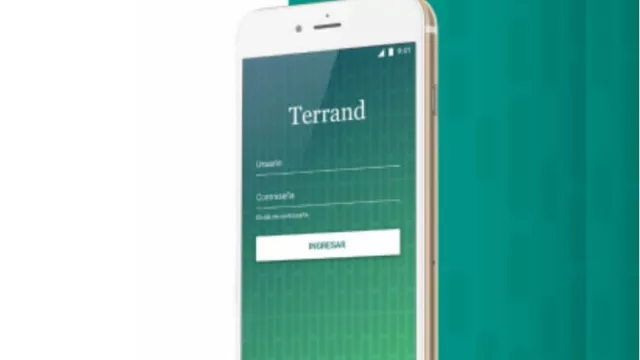 Terrand Audits consolida su servicio “Tienda Check” en Argentina y lo exporta a Europa (cuidado de marca y control de franquicias)