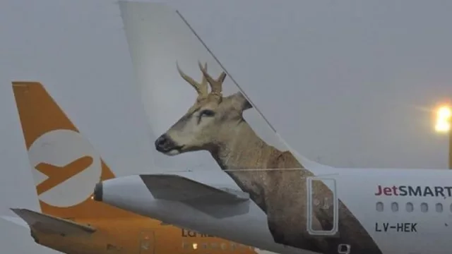 La “Revolución de los Aviones” pierde aviones: 4 máquinas menos por el efecto Max 8 (y no solo eso)