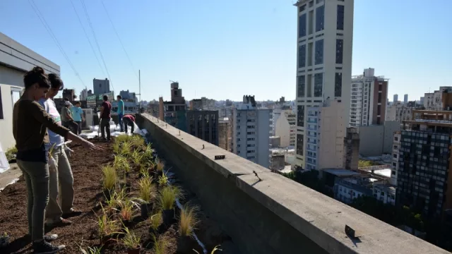 Córdoba sustentable: El Palacio 6 de Julio tiene su propia terraza verde