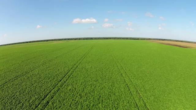 El ministro Sica celebró: el BID financia con US$ 30 M a la empresa salteña Desdelsur