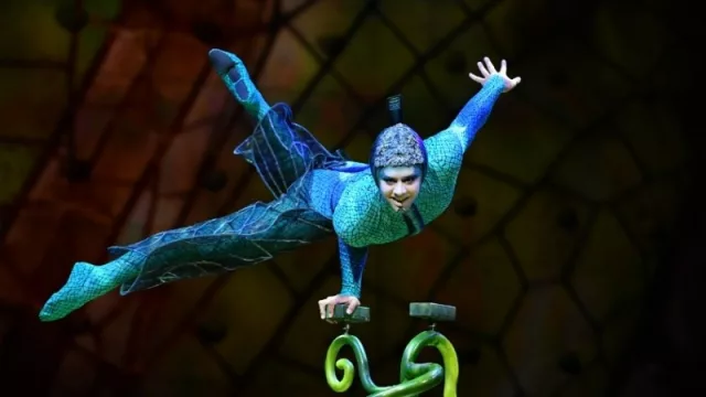 Cirque du Soleil fija Córdoba como parte de sus tours: trae Ovo (hoy arranca la preventa de las 8 funciones)