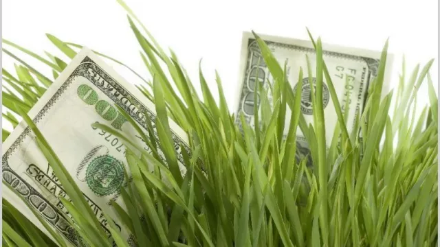 Estiman que dólares del agro cubrirán ventas diarias del Tesoro hasta agosto