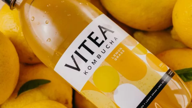 Vitea Kombucha: en Córdoba se produce 3.000 litros al mes (pero planea quintuplicar producción en 2023 y llegar a los 20.000)