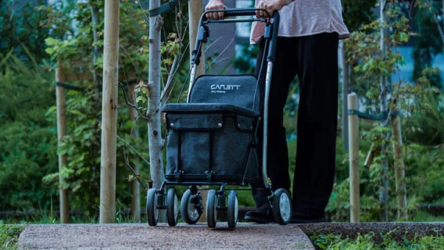 Así se convierte un problema en oportunidad: el carro de la compra como andador para personas con movilidad reducida (el caso Carlett)