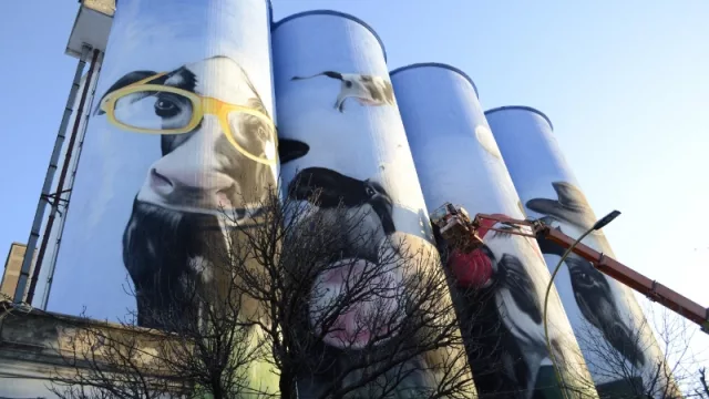 San Francisco en “Las Paredes Hablan” y las vacas vuelan (Alfredo Segatori puso su firma en la ciudad)