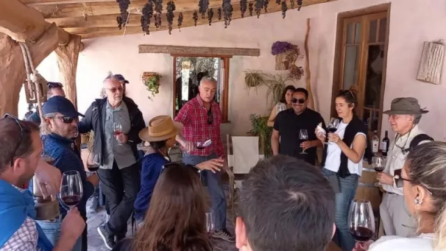 Colombia y Perú, interesados en la producción vitivinícola jujeña de extrema altura