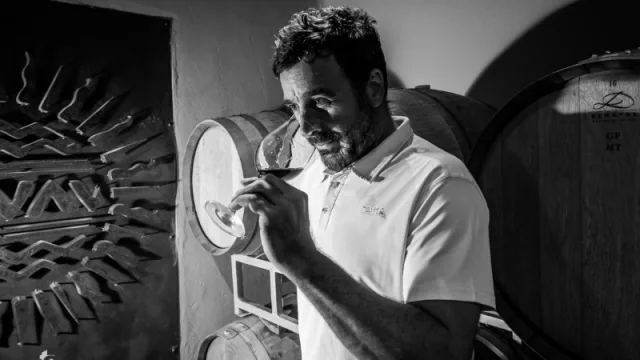 Terra Camiare, la bodega caroyense más premiada de Córdoba (Gabriel Campana, el  hombre detrás de las medallas)