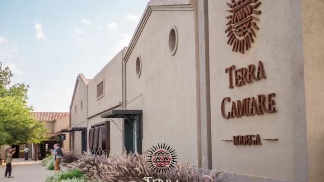 Bodega Terra Camiare.