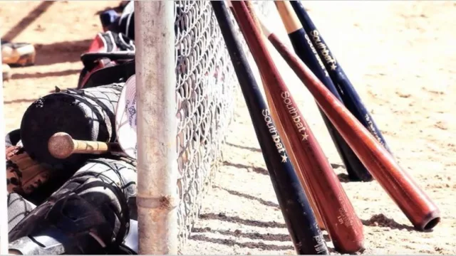 Exportan bates de béisbol desde Córdoba y buscan el apoyo de una estrella de la MLB