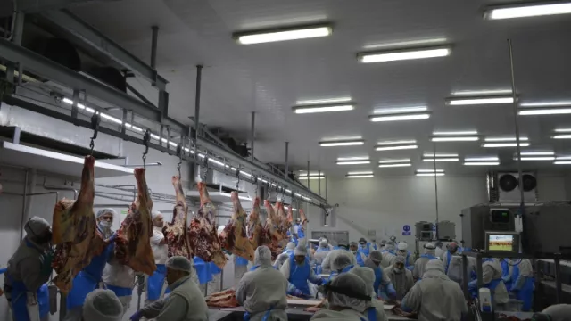 Río Segundo: el frigorífico Logros invierte US$ 2.5 millones para producir (y exportar) carne Kosher desde Córdoba