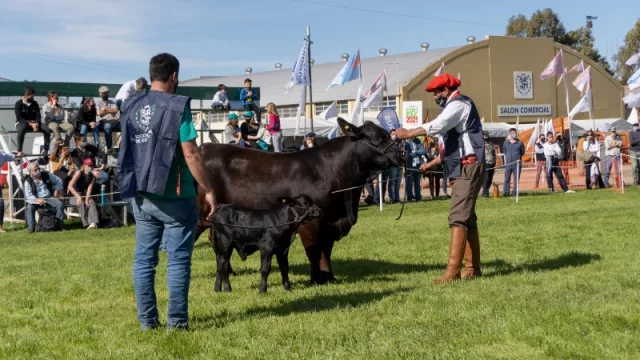 Arranca la 75° Exposición Rural de Jesús María con marcada expectativa de ventas (un programa “con de todo”)