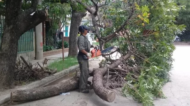 Siguen las tareas en espacios verdes y la extracción de ramas de la vía pública