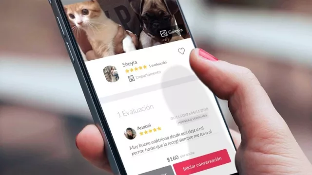 Doghero: la aplicación que te permite ganar dinero extra cuidando mascotas (desde tu hogar)