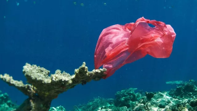 Corona se suma a la causa: "Por una playa libre de plástico" (¿y si lo hiciéramos en el Suquía?)