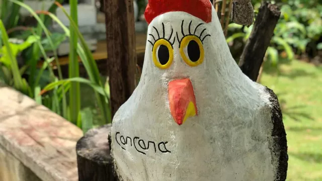 Las obras de Gilberto Carcará, sello distintivo de Porto de Galinhas