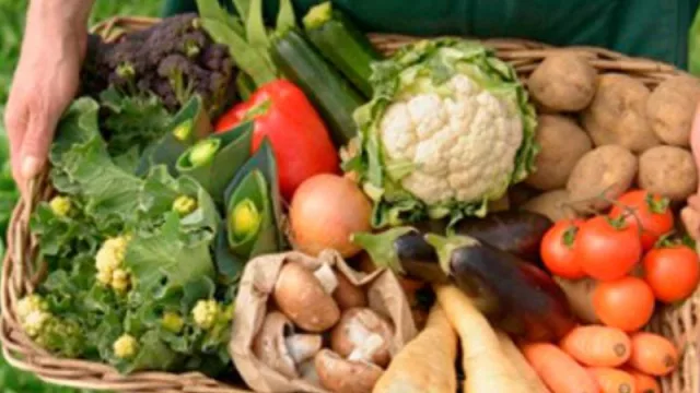 Uruguay se posiciona como hub de producción sostenible de alimentos e ingredientes