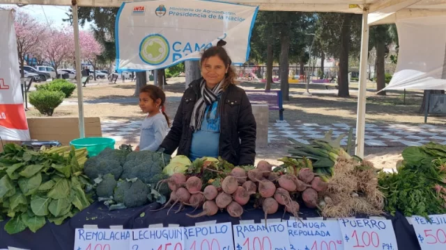 Cada 15 días, productores hortícolas se reúnen en una feria en Pilar (y ofrecen verduras directo al consumidor)