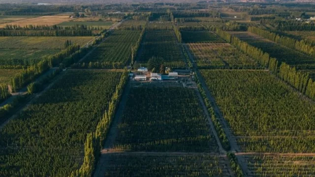 Cervecería y Maltería Quilmes invierte US$ 3,5 M en la producción de lúpulo en Río Negro