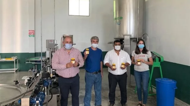 Proyectan habilitar dos salas de extracción de miel en Burruyacú y Famaillá