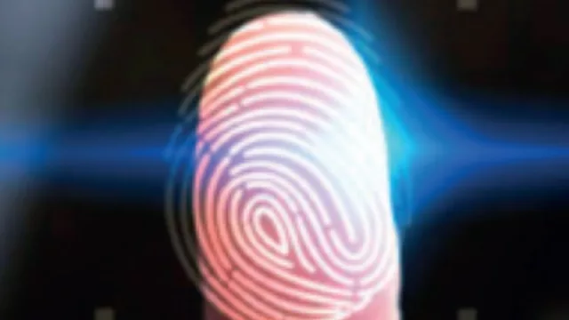 ¿Será nuestra cara o nuestra huella dactilar la entrada a los shows de 2033? - Suma 2 puntos