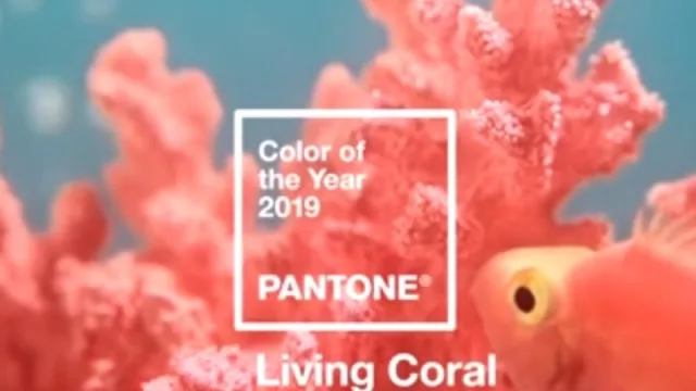 Living Coral es el "color del año 2019" para el Pantone Color Institute