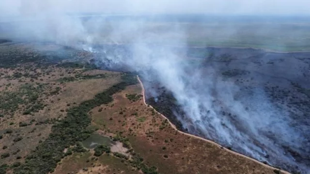 La Fundación Rewilding Argentina reveló que el 40% de los Esteros del Iberá se quemó
