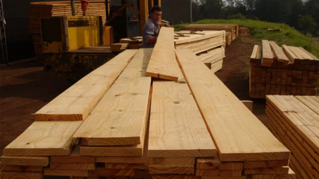 En un año en Corrientes incrementaron de 5 a 17 empresas exportadoras de productos de base forestal