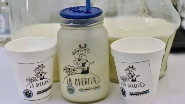 La Overita, un emblema de Tucumán: produce 5.000 litros de leche semanales (y comercializa su producto a $ 30)