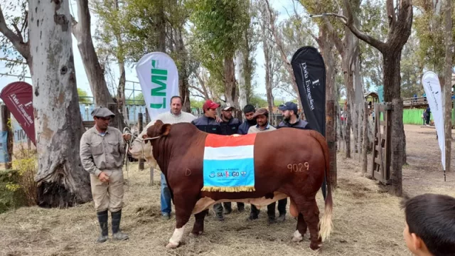 El sur santiagueño mostrará su potencial productivo en la Expo Rural Sumampa 2022
