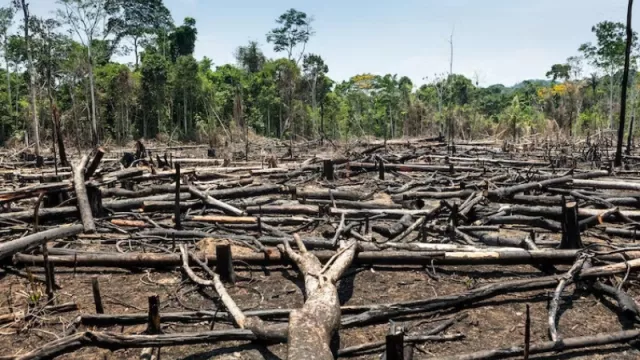 El PIB como indicador de bienestar económico: ¿abolir o corregir?