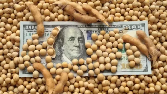 ¿Los hermanos sean unidos? La Sociedad Rural de Córdoba asegura que el nuevo dólar soja es “necesario” (otros, al contrario, dicen que es una “trampa”)