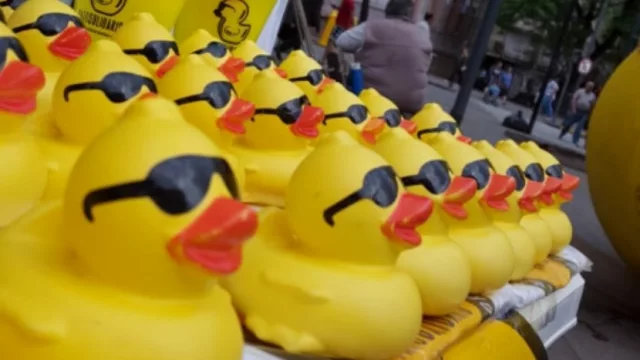 ¿Tu empresa ya tiene el Pato Solidario?