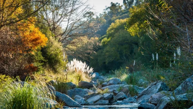 ¡Próximamente, localidades agotadas! La Granja aumenta su flujo turístico (y crece en población)