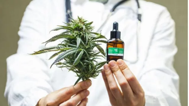 Tafí Viejo junto a la cooperativa “Verde mi Alma” brindarán una jornada de sensibilización sobre el uso medicinal de la planta de cannabis