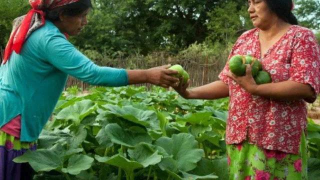 Idesa propone que las empresas del norte argentino puedan tomar contribuciones patronales como IVA
