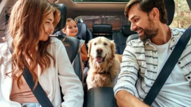 Como un Airbnb, pero de autos: así funciona Dreezy, la plataforma cordobesa de alquiler de vehículos (que pide escalar en la región)