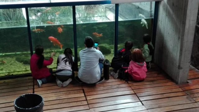 Llega la sexta Exposición de Plantas Ornamentales del Jardín Botánico de Córdoba