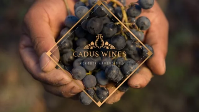 Cadus busca instalarse como bodega independiente (pasó por Córdoba para mostrar sus vinos y proyectos)