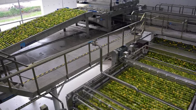 Un importante ingenio del NOA reemplaza azúcar por limones para potenciar su negocio