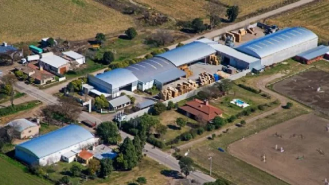 Carpal ya está entre las mayores productoras de pallets (reinversión para el crecimiento)