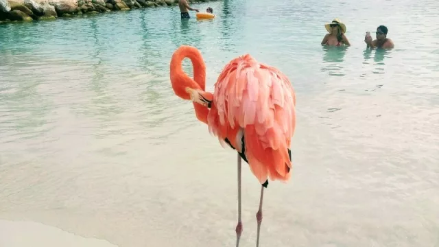 One happy island: Aruba, un paraíso para disfrutar en cualquier época del año (hoteles y marcas de lujo)