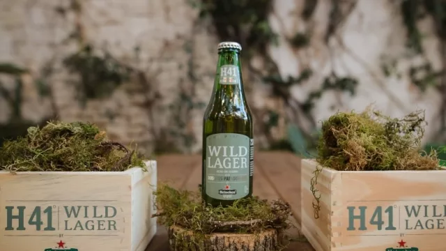 Ciencia y cervecería: Heineken lanzó la H41 (con levadura salvaje a 41° Sur y 71° Oeste)